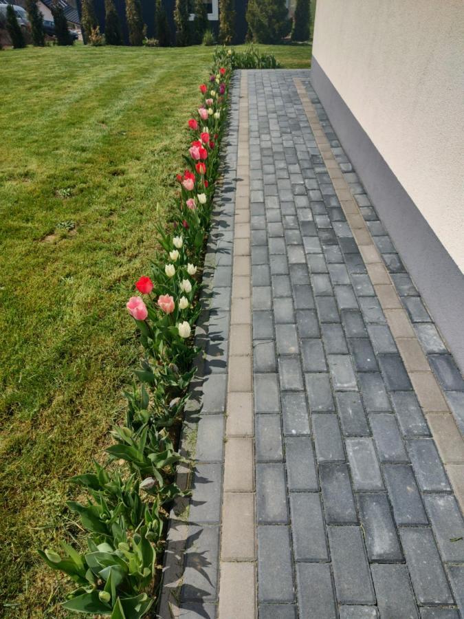 Domek Letniskowy Elizjum Myczków Extérieur photo